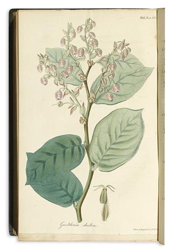 (BOTANICAL.) Pursh, Frederick. Flora Americae Septentrionalis;